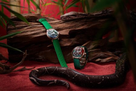 Chinese new year snake