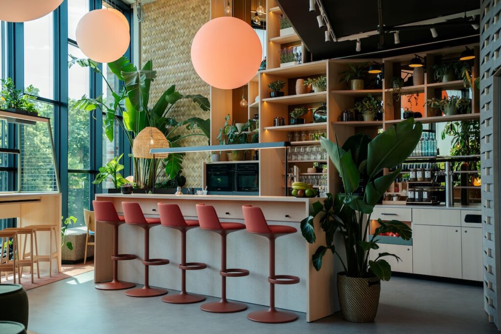 cocoon hotels
