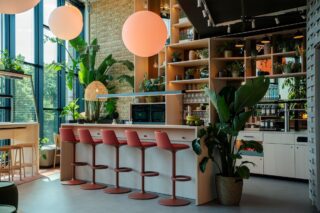 cocoon hotels