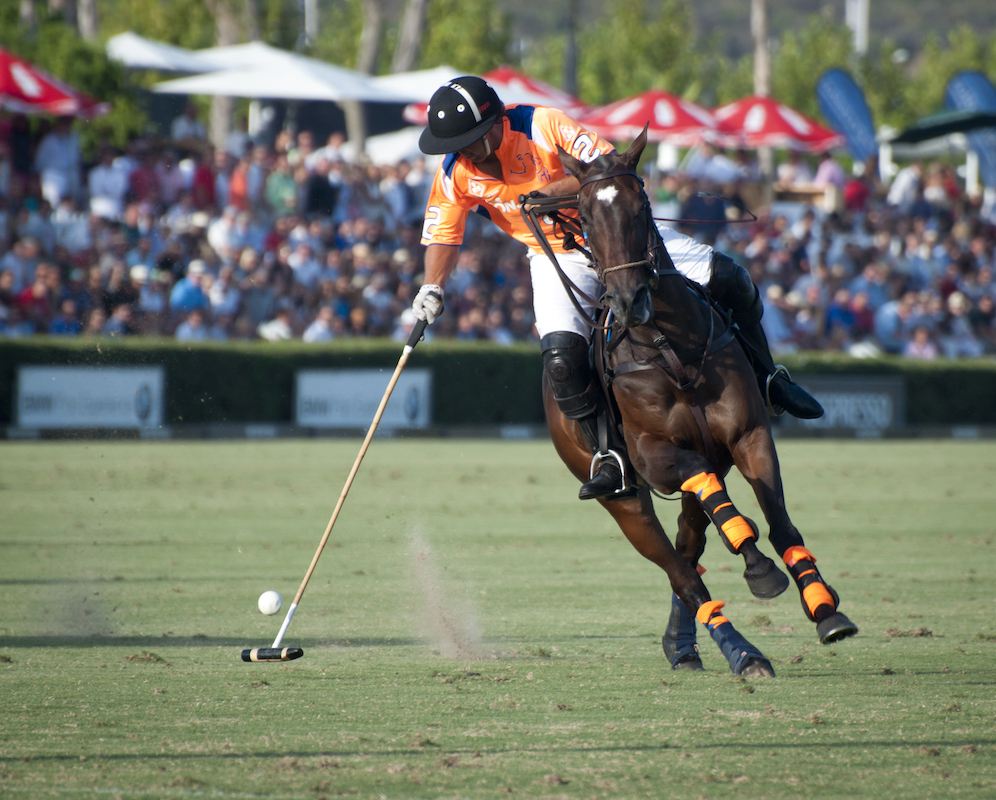 Polo