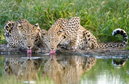 Botswana