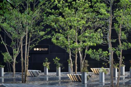 HOSHINOYA Tokyo boutique hotels