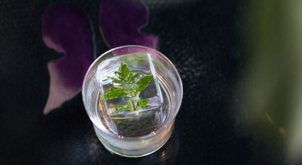 Overhead shot of a tequila cocktail with an ice cube and leaf within the glass