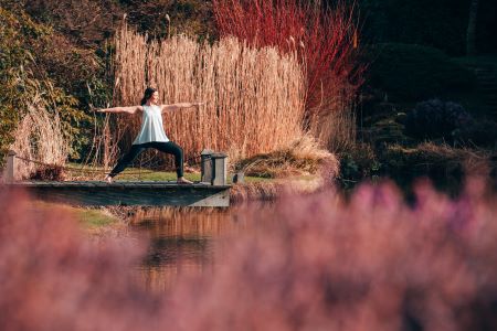 Simple Serenity: discover Cowdray Park’s dark sky reserve and wild woodlands