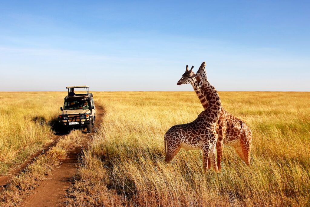 African safari luxury travel