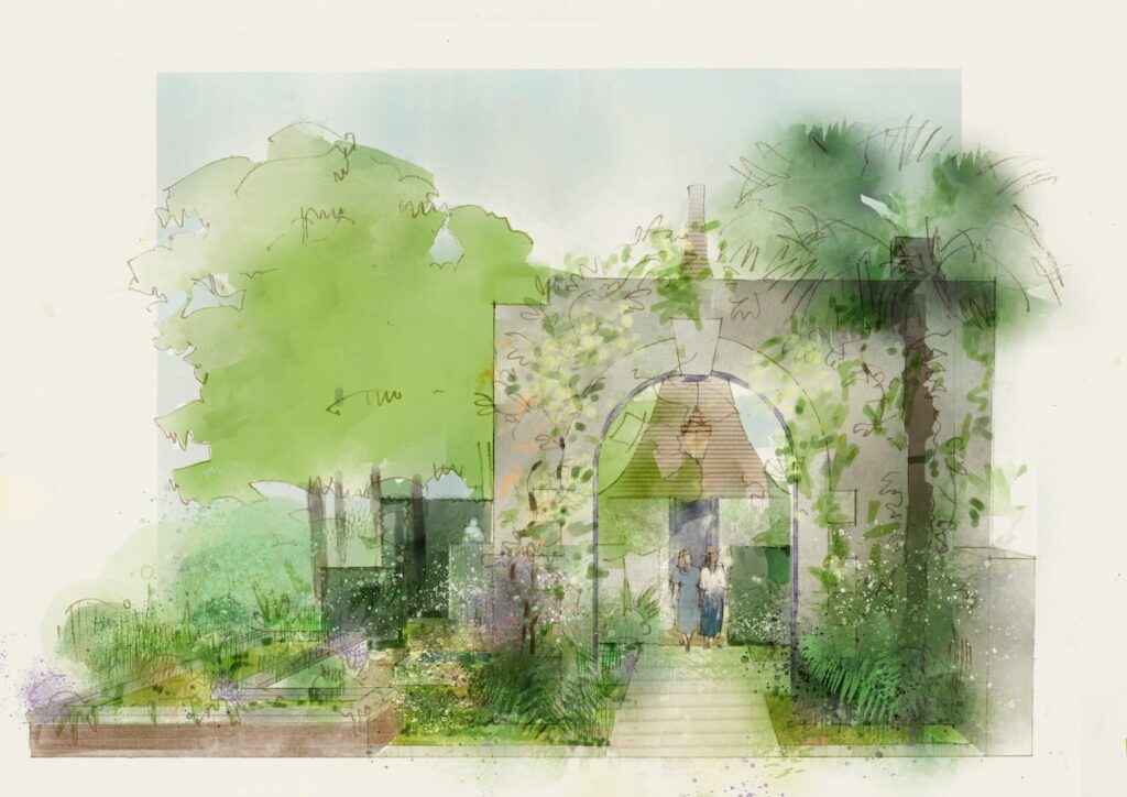 RHS Chelsea Flower Show. Illustration by Michelle Anderson
