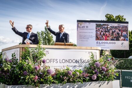Goffs London Sale