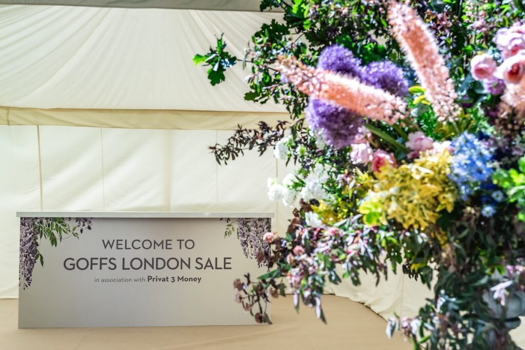 Goffs London Sale