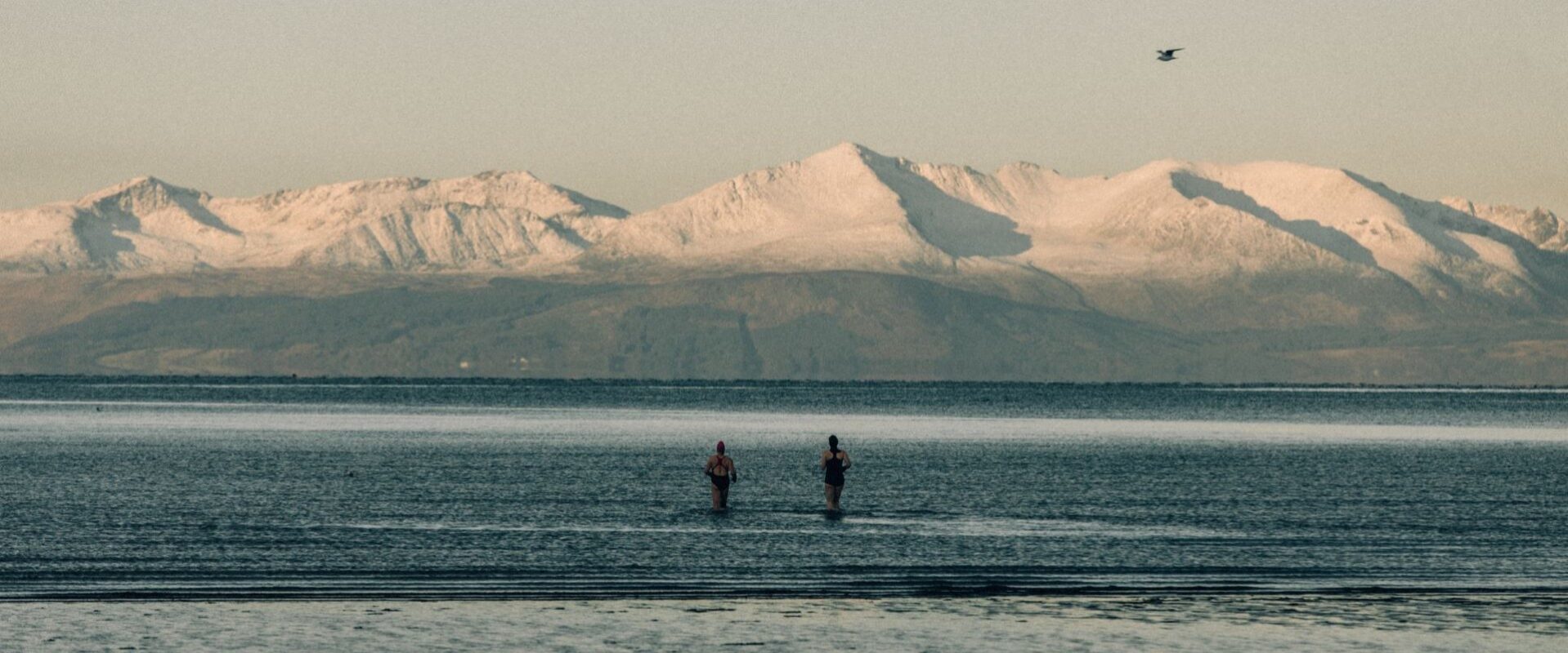 Take the Plunge: Swim wild in Scotland with Marine Troon’s new Wellness Weekends