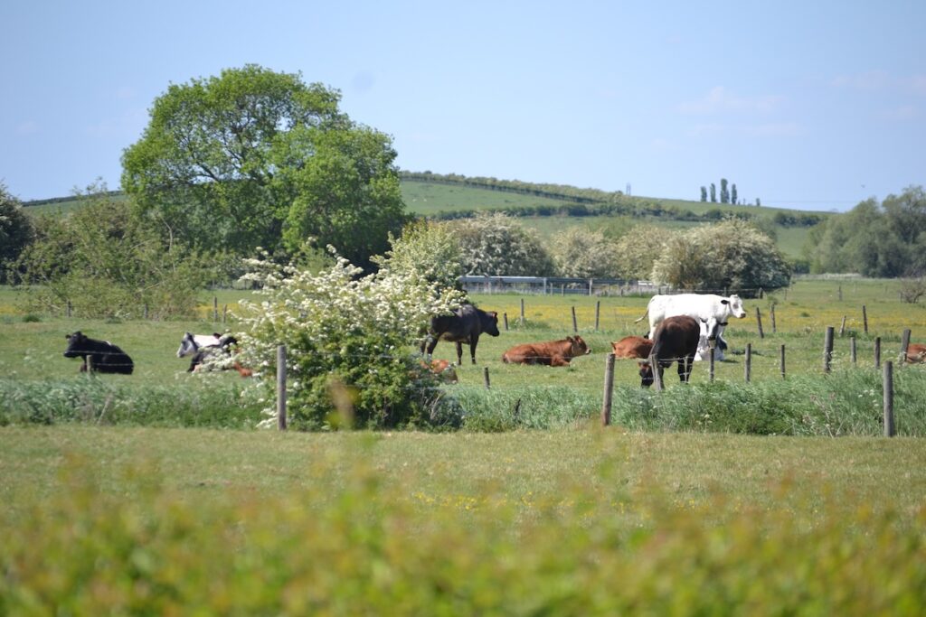 Welland Valley
