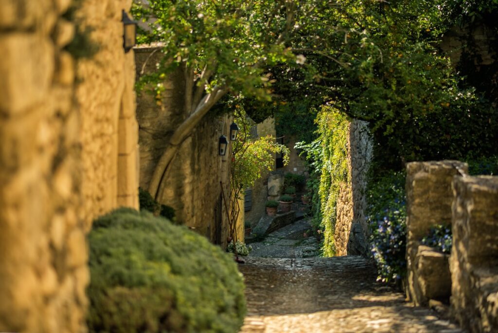 follow my zen France