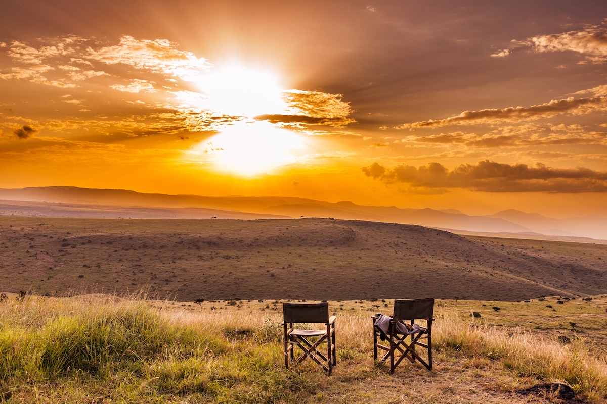Steppes Travel safari