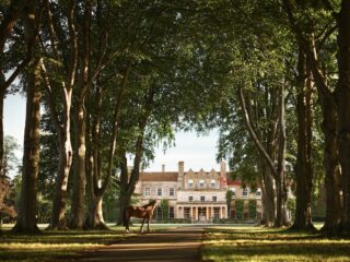 Accor Emblems Collection