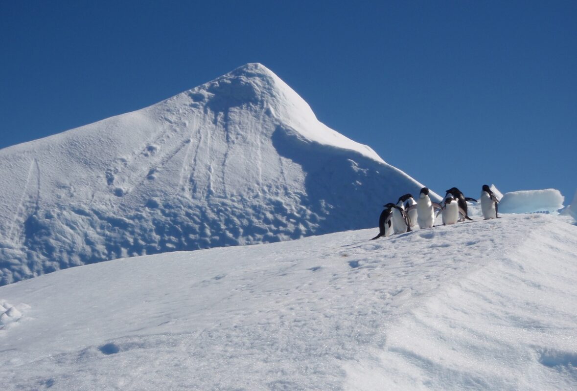 Intentional tourism: 6 luxury travel experiences to take part in 2026