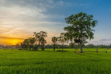Why you should visit Sri Lanka in 2022