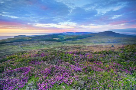 How the Isle of Man has taken conservation to an island-wide enterprise