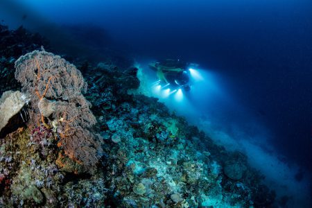 Old battlegrounds and new adventures in the Solomon Islands