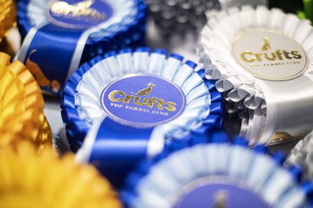 An outstanding pedigree: a day at Crufts