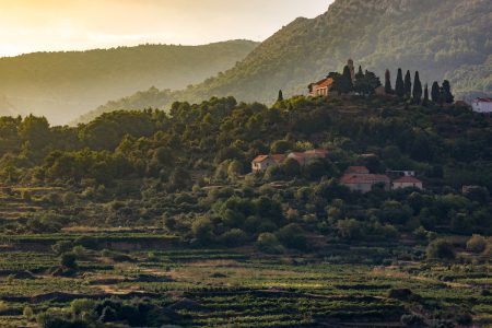 Natural wonder in Hvar