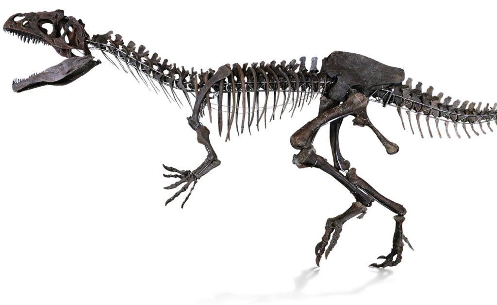 A roaringly unique investment: this mystery dinosaur will be auctioned ...