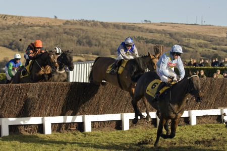 What makes the Cheltenham Festival such an exclusive meeting?