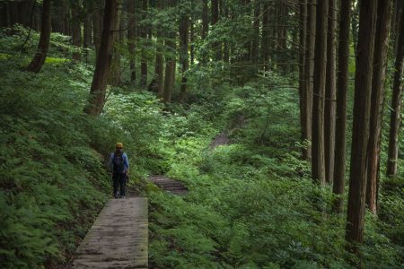 Japan on foot: the best pilgrimages across the Land of the Rising Sun