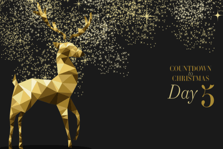 WIN! This At Home Box subscription marks the fifth day of our Countdown to Christmas giveaway