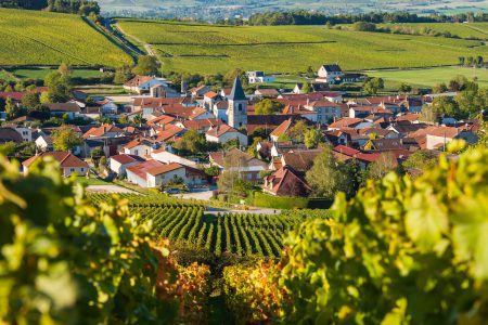 The top six wine destinations around the world designed for exploration