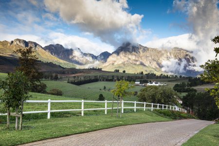 We travel to South Africa’s Brookdale Estate to discover one of the most exclusive and abundant wine estates in the world