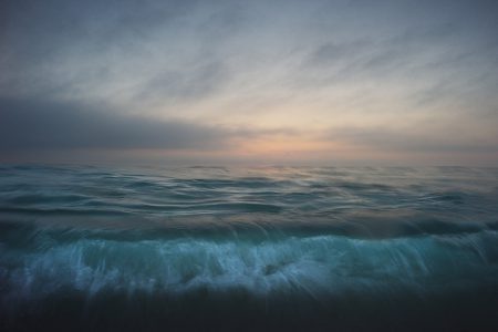 Blue Minds exhibition: scientists and artists join together to save our oceans