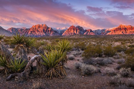 Awakening the wander list: where in the world do those with exceptional wealth vacation?