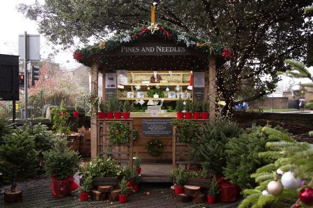 Pines and Needles co-founder Sam Lyle reveals the latest Christmas tree trends