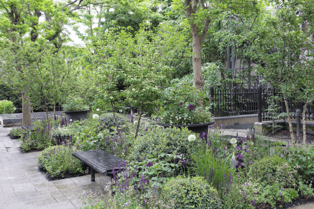AMAFFI Perfume House gifts scented garden to the Chelsea and Westminster Hospital in tribute to the NHS